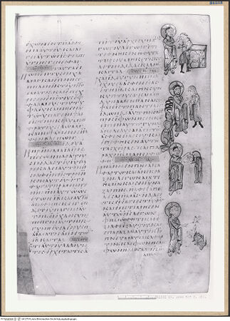 Vorderseite von bh127519_recto