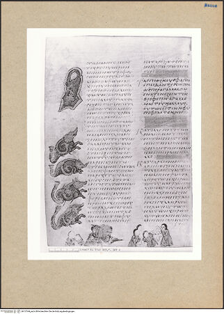 Vorderseite von bh127544_recto