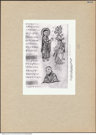 Vorderseite von bh127556_recto