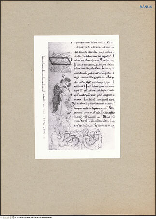 Vorderseite von bh127559_recto