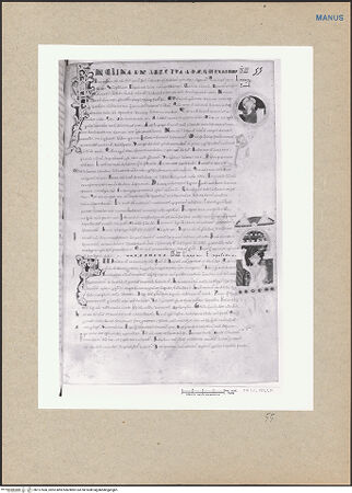 Vorderseite von bh127560_recto