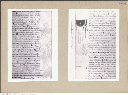 Vorderseite von bh127566_bh127567_recto