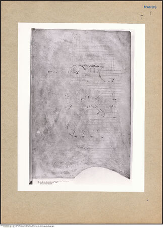 Vorderseite von bh127575_recto