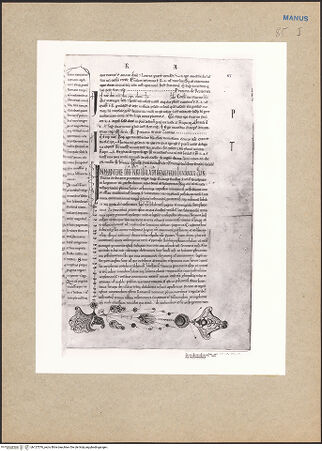 Vorderseite von bh127576_recto