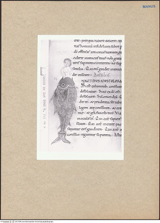 Vorderseite von bh127589_recto