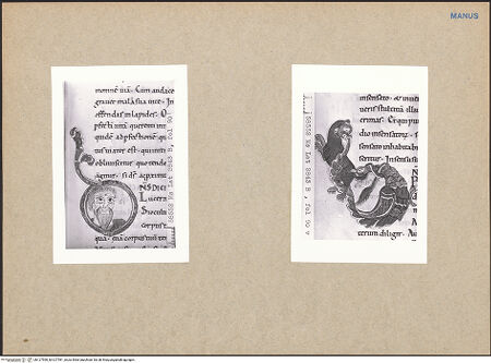 Vorderseite von bh127590_bh127591_recto