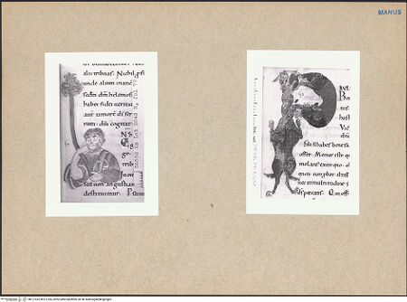 Vorderseite von bh127592_bh127593_recto