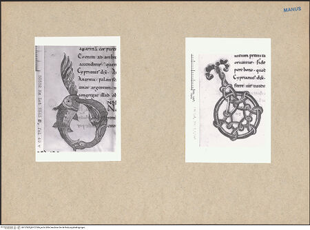 Vorderseite von bh127603_bh127604_recto