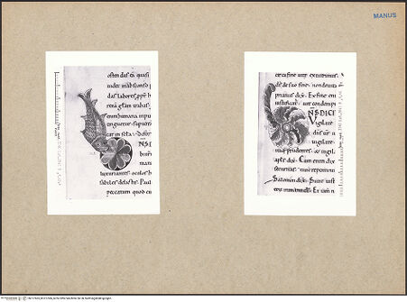 Vorderseite von bh127605_bh127606_recto