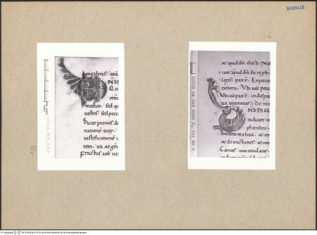 Vorderseite von bh127609_bh127610_recto