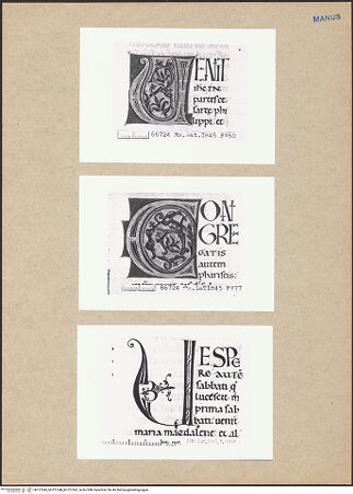 Vorderseite von bh127645_bh127646_bh127647_recto