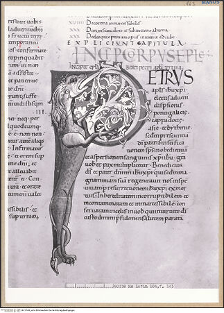 Vorderseite von bh127649_recto