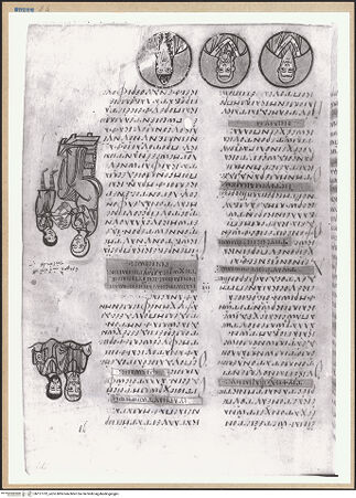 Vorderseite von bh127732_recto