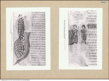 Vorderseite von bh127747_bh127748_recto