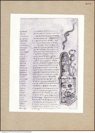 Vorderseite von bh127752_recto