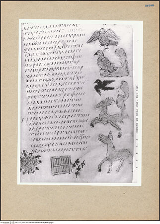 Vorderseite von bh127753_recto