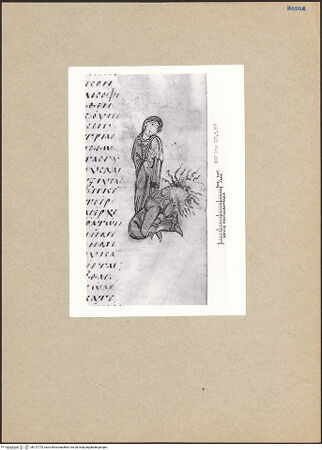 Vorderseite von bh127773_recto