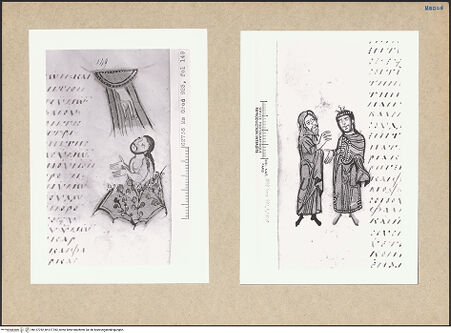 Vorderseite von bh127782_bh127783_recto