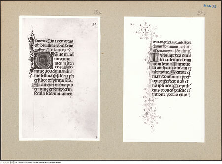 Vorderseite von bh127828_bh127829_recto