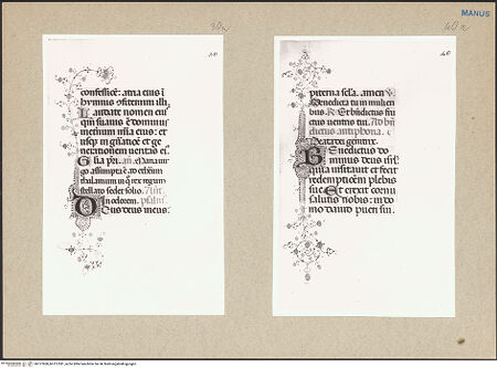 Vorderseite von bh127830_bh127831_recto