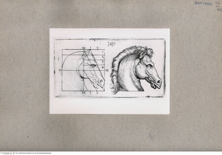 Vorderseite von  [http://creativecommons.org/publicdomain/mark/1.0/] ... - , bh127980. Foto.