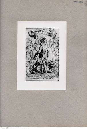 Vorderseite von  [http://creativecommons.org/publicdomain/mark/1.0/] Venus - , bh128024. Foto.