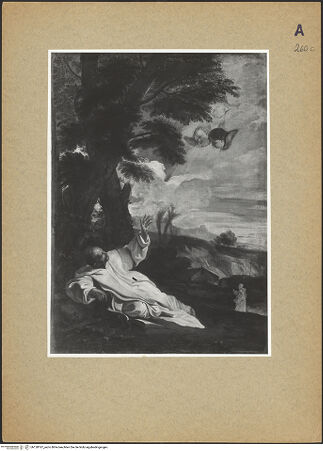 Vorderseite von bh128187_recto