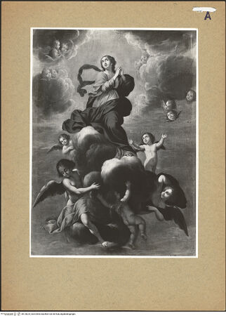 Vorderseite von bh128224_recto