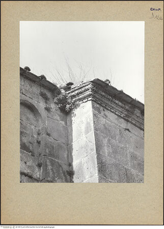 Vorderseite von Bibliotheca Hertziana [https://www.deutsche-digitale-bibliothek.de/content/lizenzen/rv-fz/] CattedraleNordfassade - Nordquerhausarm, Westpilaster: Detail, bh128313_recto. Foto.