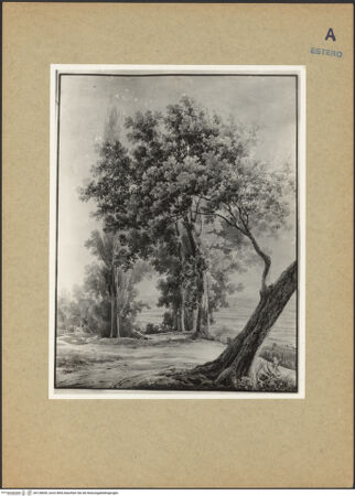 Vorderseite von bh128690_recto