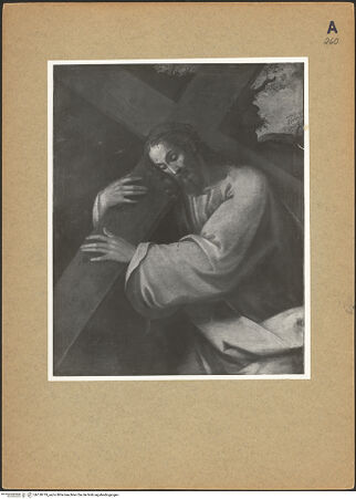 Vorderseite von bh128719_recto