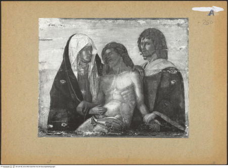 Vorderseite von bh128748_recto