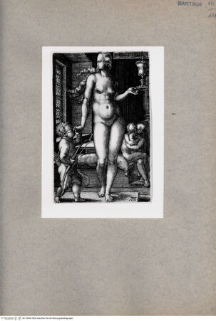 Vorderseite von  [http://creativecommons.org/publicdomain/mark/1.0/] Venus - , bh128846. Foto.
