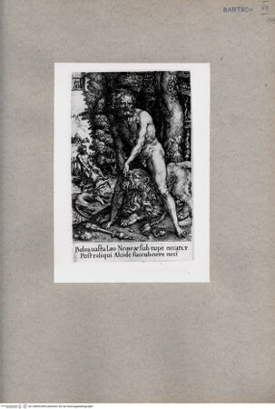 Vorderseite von  [http://creativecommons.org/publicdomain/mark/1.0/] ... - , bh128855. Foto.