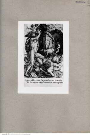 Vorderseite von  [http://creativecommons.org/publicdomain/mark/1.0/] ... - , bh128856. Foto.