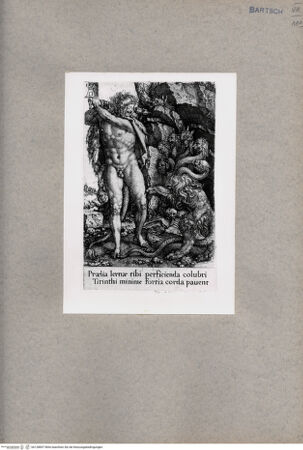 Vorderseite von  [http://creativecommons.org/publicdomain/mark/1.0/] ... - , bh128857. Foto.