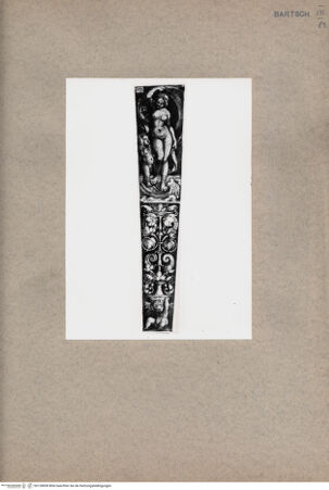 Vorderseite von  [http://creativecommons.org/publicdomain/mark/1.0/] Venus - , bh128858. Foto.