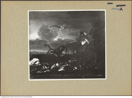 Vorderseite von bh128984_recto