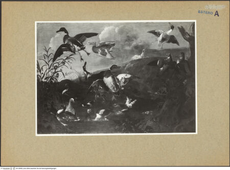 Vorderseite von bh128985_recto