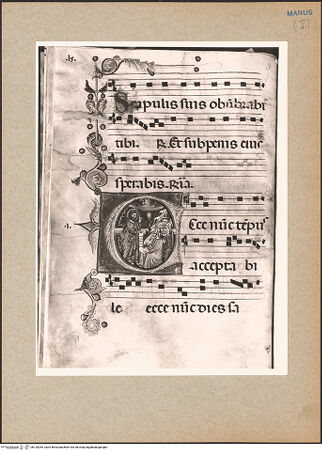 Vorderseite von bh129265_recto