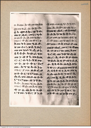 Vorderseite von bh129291_recto