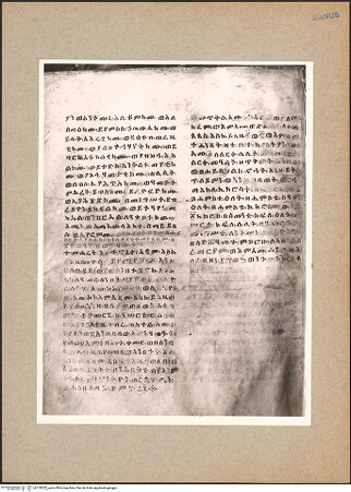 Vorderseite von bh129292_recto