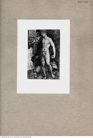 Vorderseite von  [http://creativecommons.org/publicdomain/mark/1.0/] Adam - , bh129317. Foto.