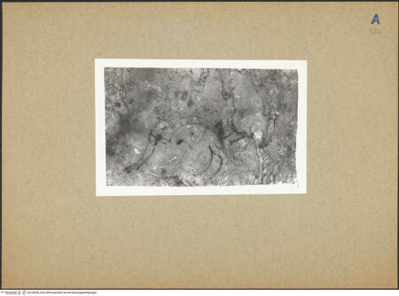 Vorderseite von bh129659_recto