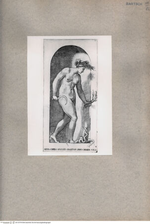 Vorderseite von  [http://creativecommons.org/publicdomain/mark/1.0/] ... - , bh129709. Foto.