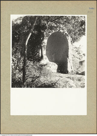 Vorderseite von bh129882_recto