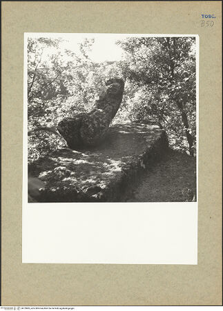 Vorderseite von bh129885_recto