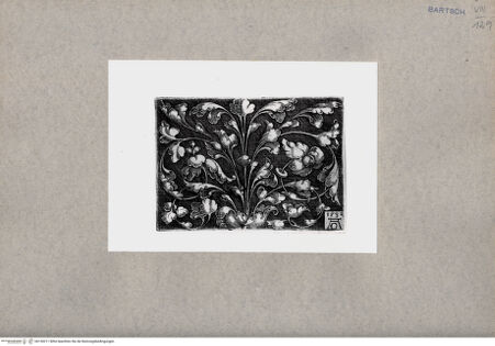 Vorderseite von  [http://creativecommons.org/publicdomain/mark/1.0/] ... - , bh130211. Foto.