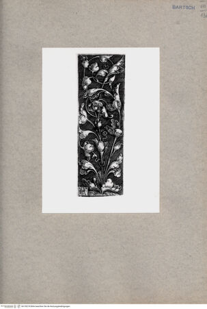 Vorderseite von  [http://creativecommons.org/publicdomain/mark/1.0/] ... - , bh130218. Foto.