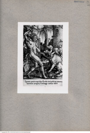 Vorderseite von  [http://creativecommons.org/publicdomain/mark/1.0/] ... - , bh130236. Foto.